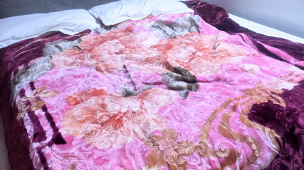 مراهق عربي ورجل سعودي