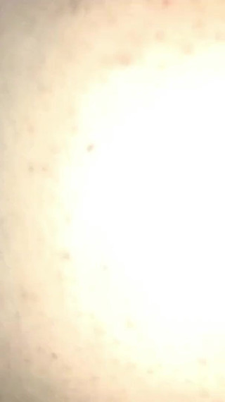 سلمى العربية تبا الجزء 65