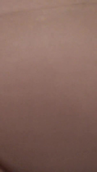 عربي مصري حامل