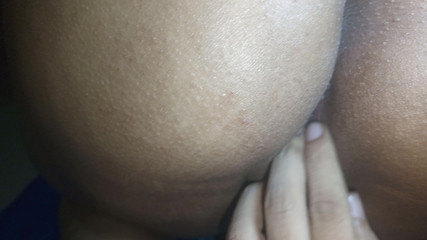 الحمار الكبير الهندي هزلي الجنس