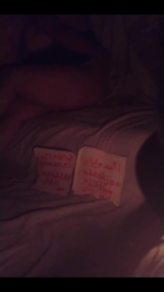 الحمار دي إن إس