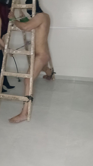 خادمي يحب أوامري. ملكته هي أقوى سيد عربي